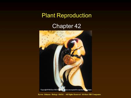 Plant Reproduction Chapter 42