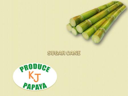 Sugar Cane peeled and packed with export quality!