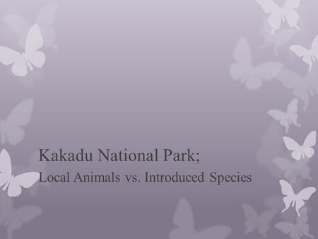 Kakadu National Park; Local Animals vs. Introduced Species.