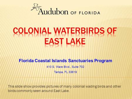 Florida Coastal Islands Sanctuaries Program 410 S. Ware Blvd., Suite 702 Tampa, FL 33619 This slide show provides pictures of many colonial wading birds.