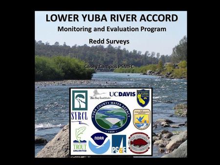 LOWER YUBA RIVER ACCORD Monitoring and Evaluation Program Redd Surveys Casey Campos PSMFC.