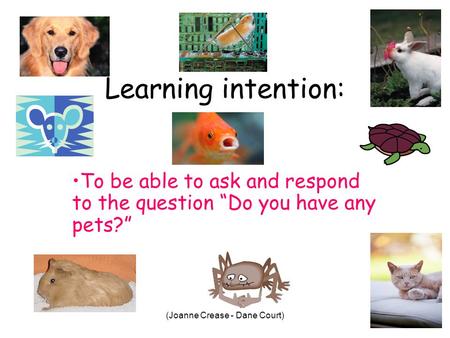 (Joanne Crease - Dane Court) Learning intention: To be able to ask and respond to the question Do you have any pets?