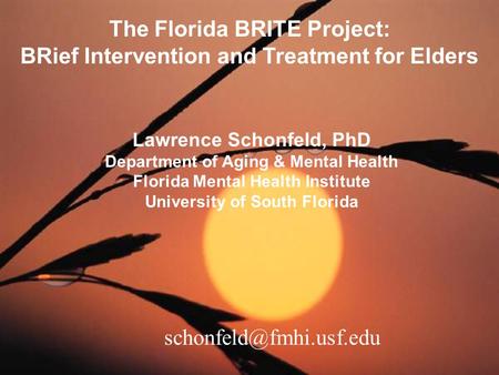 The Florida BRITE Project: BRief Intervention and Treatment for Elders
