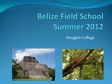 Douglas College. Belize Field School - 2012 Earn 9 university credits in 7 weeks in beautiful, tropical Belize! May 1 – 20, morning classes at Douglas.