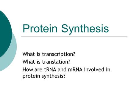 Protein Synthesis What is transcription? What is translation?