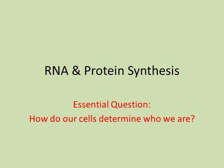 RNA & Protein Synthesis