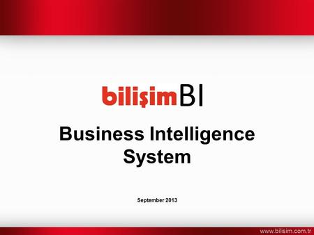 Www.bilisim.com.tr Business Intelligence System September 2013 BI.
