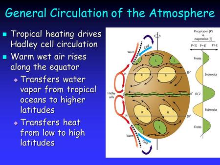 General Circulation of the Atmosphere