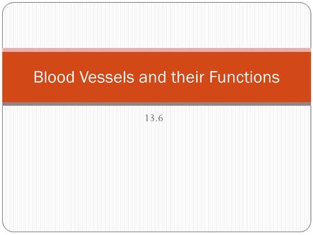 13.6 Blood Vessels and their Functions. Questions What does a ‘double’ circulatory system mean? Blood passes twice through the heart for each circuit.