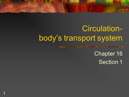 Circulation- body’s transport system