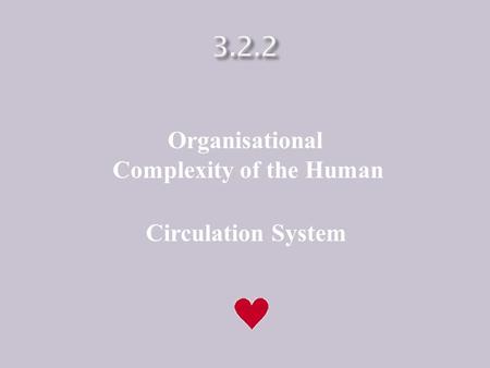 Organisational Complexity of the Human Circulation System.