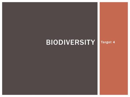 Target 4 BIODIVERSITY.  A term used to describe the variety of life found on Earth or in an ecosystem.  The species in an ecosystem have a strong influence.