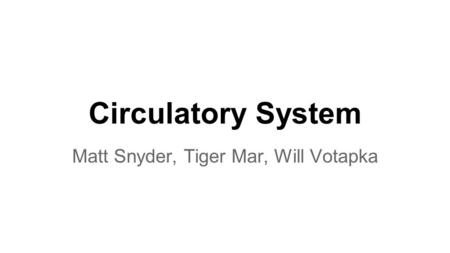 Circulatory System Matt Snyder, Tiger Mar, Will Votapka.