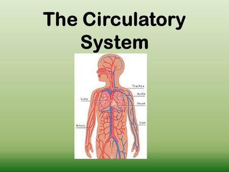 The Circulatory System. What is the Purpose The circulatory system transports needed materials throughout out body including nutrients and gases (oxygen)