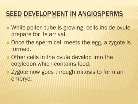 Seed Development in Angiosperms