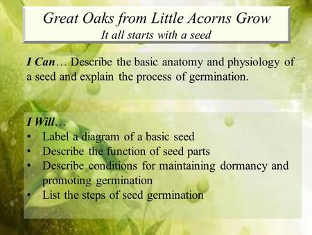 Great Oaks from Little Acorns Grow It all starts with a seed I Can… Describe the basic anatomy and physiology of a seed and explain the process of germination.