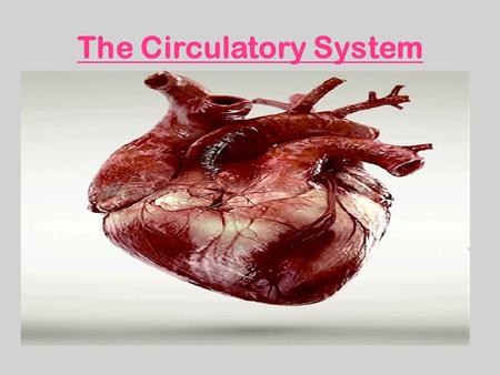 The Circulatory System. What is the Circulatory System? It's a big name for one of the most important systems in the body. Made up of the heart, blood.