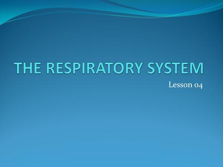 Lesson 04. Overview of the Respiratory System Primary Functions Gas exchange, carries oxygen into body and excels carbon dioxide Provides oxygen to body.