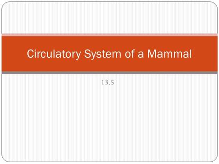 13.5 Circulatory System of a Mammal. 13.5 Circulatory System of a Mammal Learning Objectives: Over large distances, efficient supply of materials is provided.