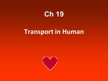 Ch 19 Transport in Human 1. You need to know…… Lymphatic system ABO blood groups Composition of bloodRhesus FactorBlood pressure Pulse Coronary arteries.