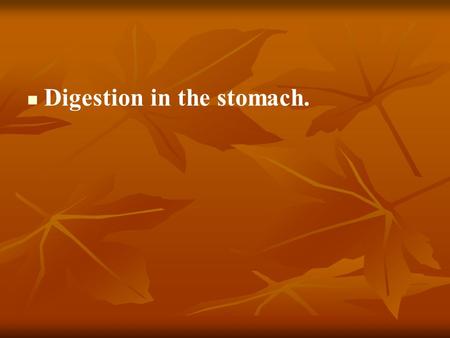 Digestion in the stomach.. Functions of stomach 1. Digestive (mechanical treatment, absorption, evacuation, secretion, depo); 1. Digestive (mechanical.
