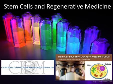 Stem Cells and Regenerative Medicine. “Glow-in-the-dark” dogs!