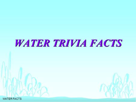 WATER FACTS WATER TRIVIA FACTS. WATER FACTS n HOW MUCH WATER DOES IT TAKE TO PROCESS A QUARTER POUND OF HAMBURGER?