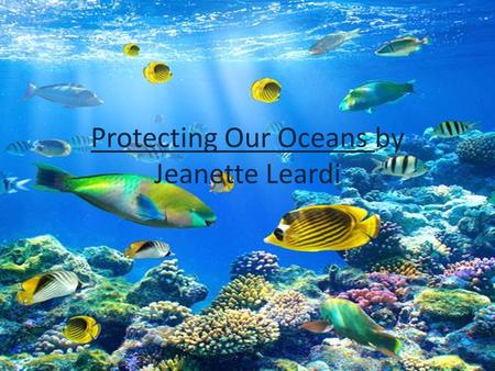 Protecting Our Oceans by Jeanette Leardi
