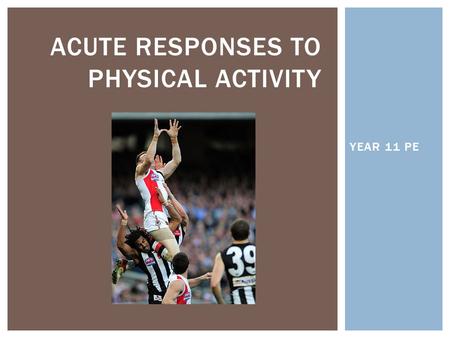 YEAR 11 PE ACUTE RESPONSES TO PHYSICAL ACTIVITY.  ACUTE RESPONSES- Immediate, short-term responses to exercise that last only for the duration of the.