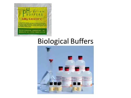 Biological Buffers. Buffers Allow biological fluids to maintain relatively constant pH despite additions of acids or bases.