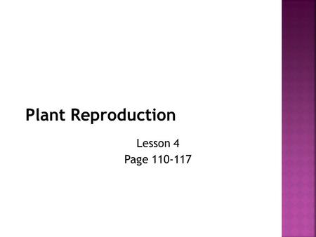 Lesson 4 Page 110-117.  What are the stages of a Plant Life Cycle?  How do plants Reproduce?