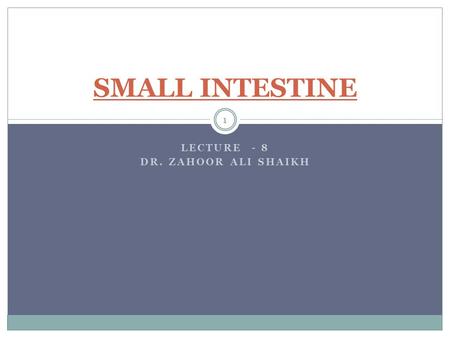 LECTURE - 8 DR. ZAHOOR ALI SHAIKH 1 SMALL INTESTINE.