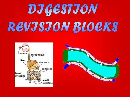 There are two types of digestion: mechanical and chemical. Mechanical digestion is when food is ground up using the teeth. Another example of mechanical.
