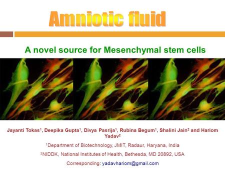 A novel source for Mesenchymal stem cells Jayanti Tokas 1, Deepika Gupta 1, Divya Pasrija 1, Rubina Begum 1, Shalini Jain 2 and Hariom Yadav 2 1 Department.