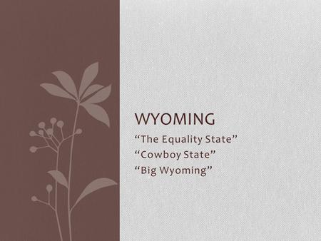 “The Equality State” “Cowboy State” “Big Wyoming”