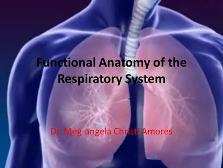 Functional Anatomy of the Respiratory System