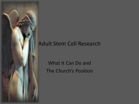 Adult Stem Cell Research What It Can Do and The Church’s Position.
