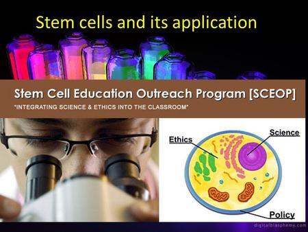 Stem cells and its application. Republic of Iraq Ministry of Higher Education & Scientific Research University of Kufa Faculty of Science Department of.