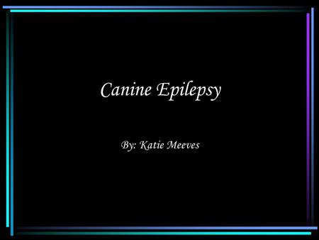 Canine Epilepsy By: Katie Meeves. What is Epilepsy? Epilepsy is a neurological condition that, from time to time, produces brief disturbances electrical.