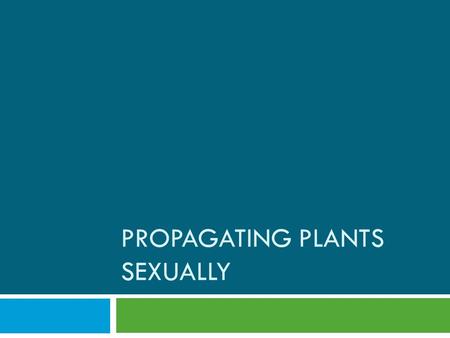PROPAGATING PLANTS SEXUALLY. Terms  Direct seeding  Dormant  Embryo plant  Germination  Hybrid  Indirect seeding  Medium  Planting date  Scarification.