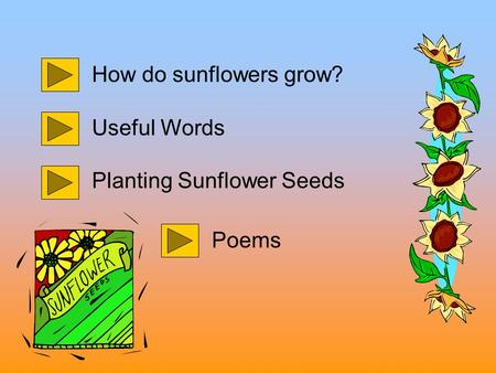 How do sunflowers grow? Useful Words Planting Sunflower Seeds Poems.