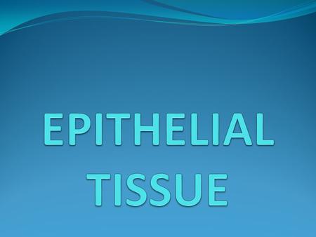 Types of Epithelial Tissue Membranous: covering or lining of body and parts; Lines cavities, vessels, respiratory, digestive and urinary/ reproductive.