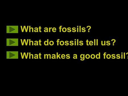 What are fossils? What do fossils tell us? What makes a good fossil?