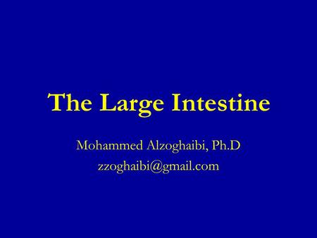 The Large Intestine Mohammed Alzoghaibi, Ph.D
