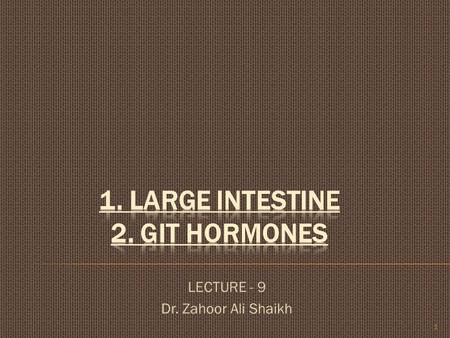 LECTURE - 9 Dr. Zahoor Ali Shaikh 1.  Large Intestine consist of cecum, appendix, colon [ascending colon, transverse colon and descending colon, end.