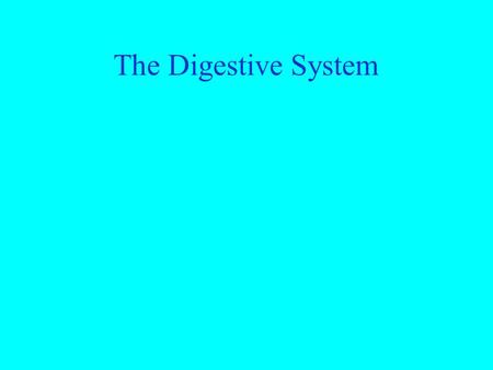 The Digestive System. The Mouth The Digestive System The Mouth Physical Digestion.