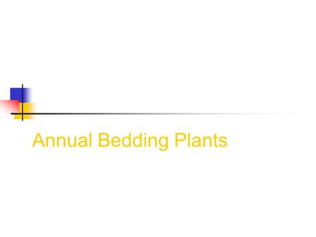 Annual Bedding Plants. What are Annuals? Annuals are plants that complete their life cycle in one year. The plant starts from seed, grows, blooms, sets.