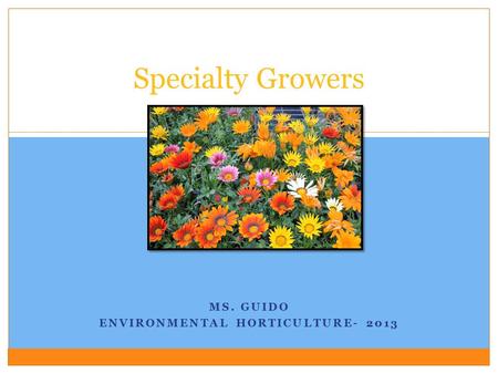 MS. GUIDO ENVIRONMENTAL HORTICULTURE- 2013 Specialty Growers.