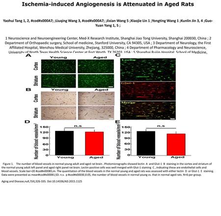 Ischemia-induced Angiogenesis is Attenuated in Aged Rats