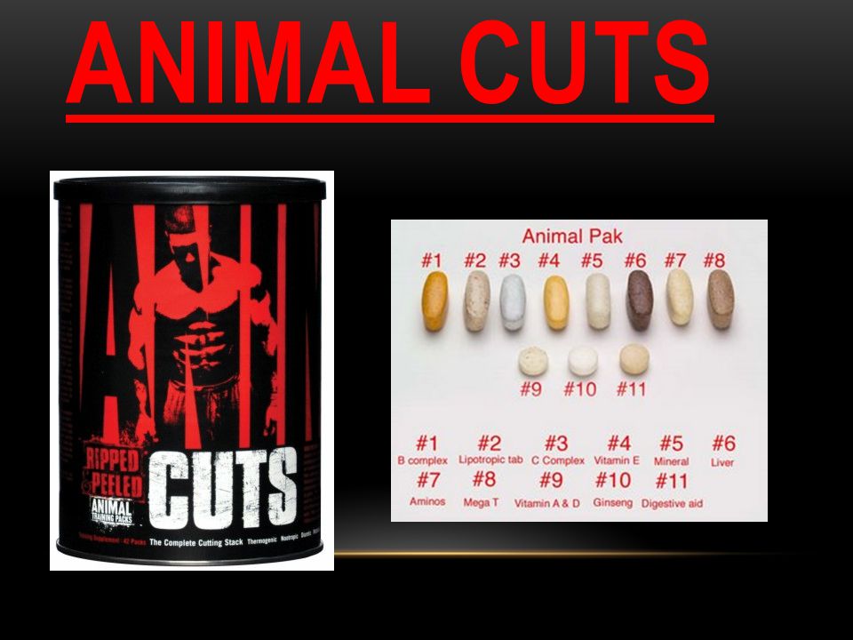 ANIMAL CUTS. . - ppt download